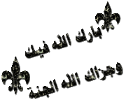 مجموعة من الأمثال و الحكم العربية مع مايقابلها باللغة الفرنسية 76975